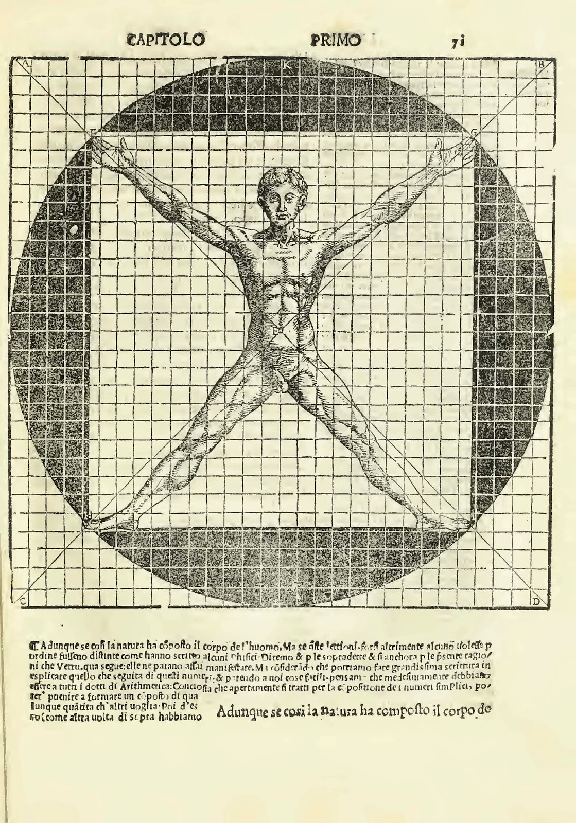 Da Leonardo Vitruvian Man Royalty-Free Images, Stock Photos & Pictures |  Shutterstock