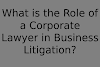 What is the Role of a Corporate Lawyer in Business Litigation?