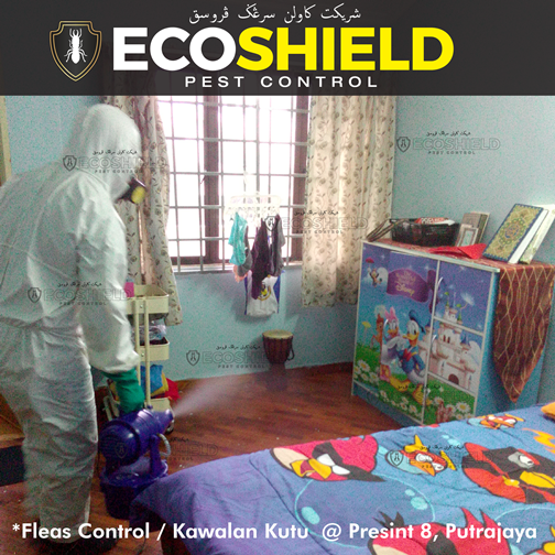Eco Shield Pest Control Malaysia