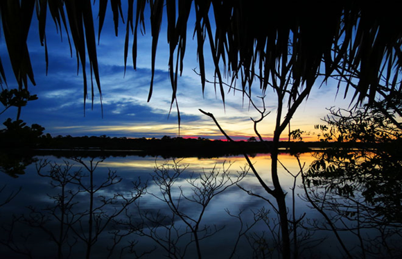 Amazônia