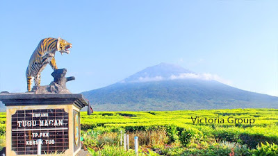 Kerinci Mountain Package