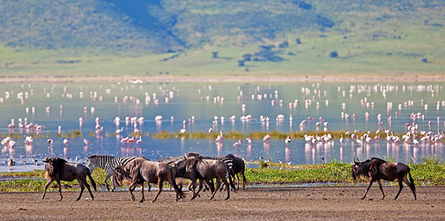 Ngorongoro Crater