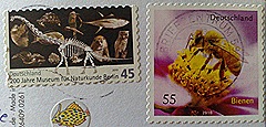 DE-634984-2