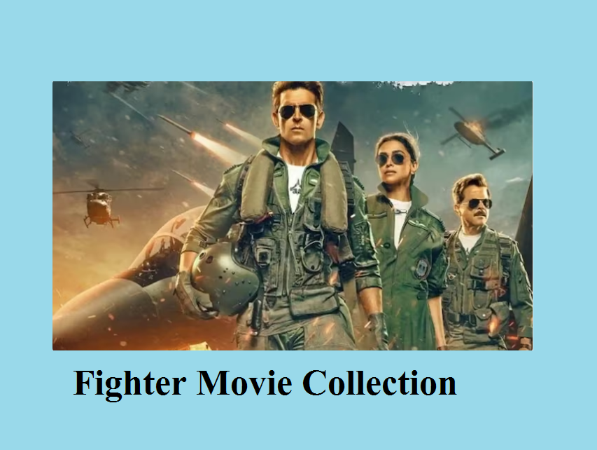 Fighter Movie Box Office Collection & Review