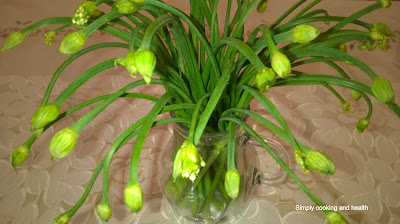 Onion flower stalk 