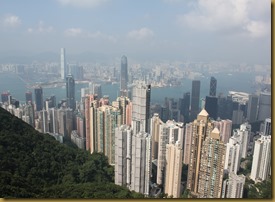 IMG_3088 IMG_3088