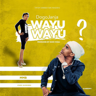 AUDIO | Dogo Janja - Awayu Wayu | DOWNLOAD
