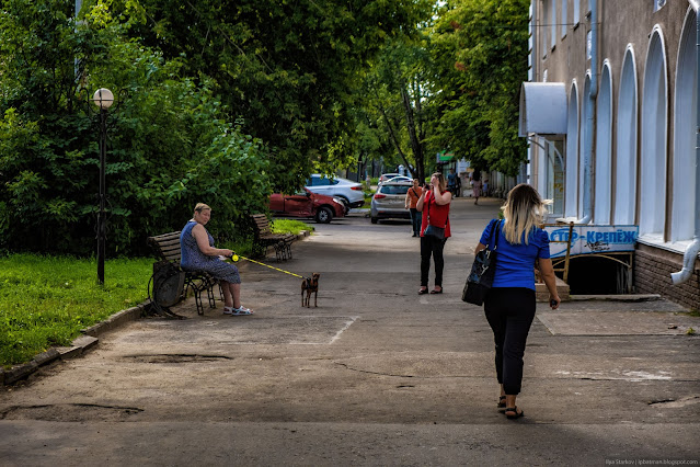 Женщина сидит на скамейке и держит собаку на поводке