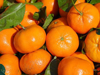 clementines fruit images