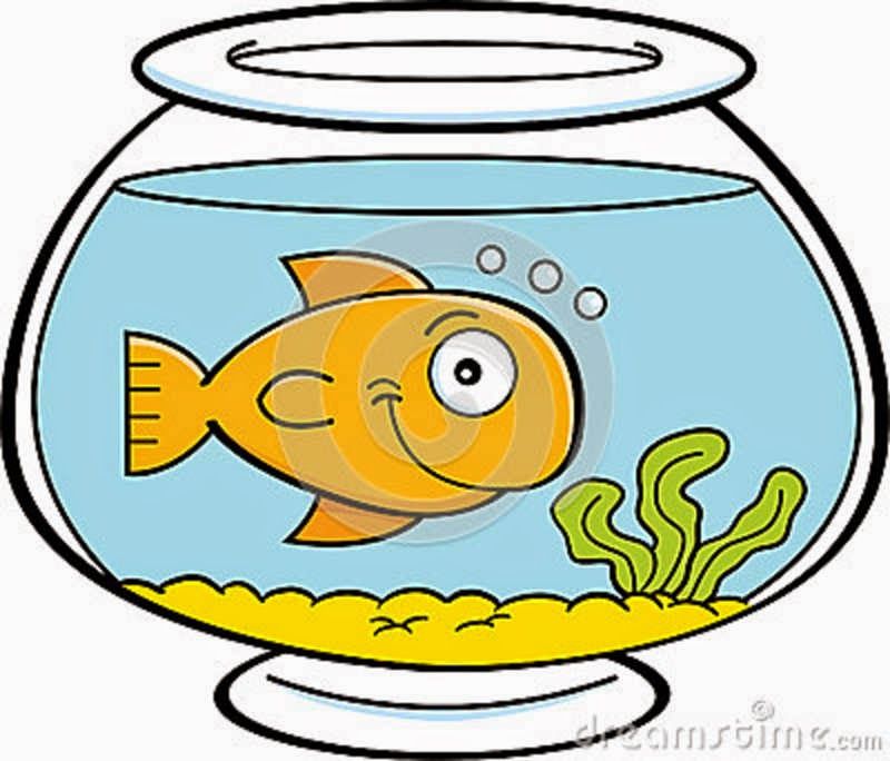 Funny Cartoon Fish