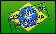 logosemente