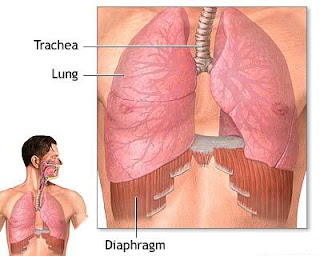 Health Care Tips, Health Tips, Diaphragmatic Breathing Exercises