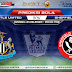 Prediksi Bola Newcastle United Vs Sheffield United 21 Juni 2020