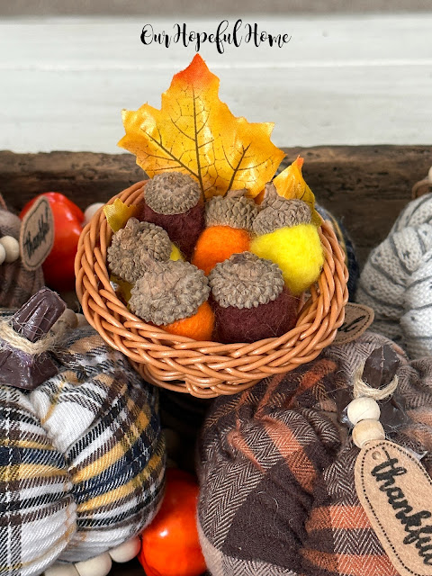 fall colors and textures in acorns and pumpkins