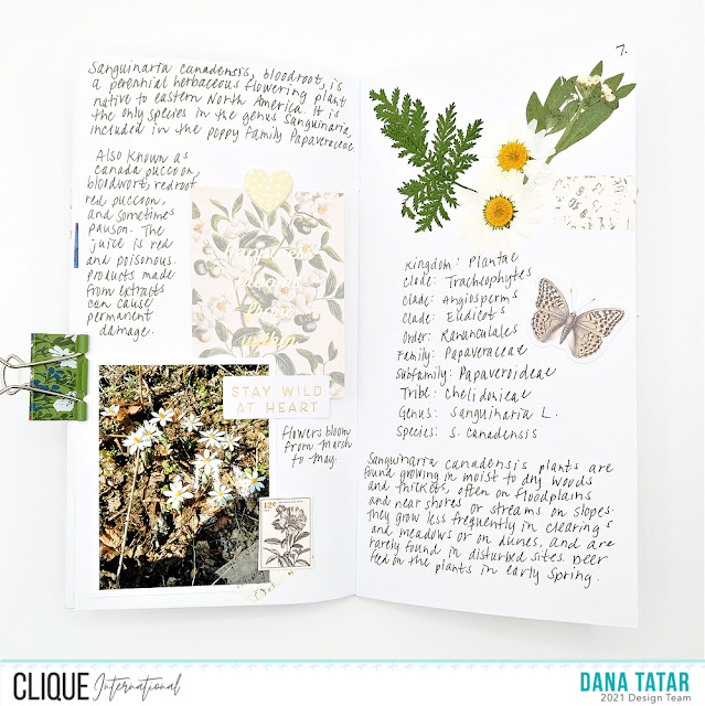 Bloodroot Field Notebook Pages with Journaling Cards Stamps Pressed Flowers and Botanical Embellishments