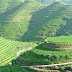 Panorama Bukit Jambul Bali