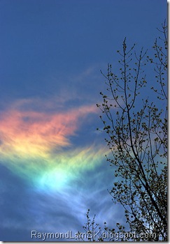 Circumhorizontal-arc-Ravenna, Michigan