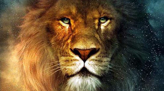 Nous Sommes L Intelligence De La Lumiere L Amour Denue De Tout Concept Regard Et Jugement Que Represente L Image Du Lion