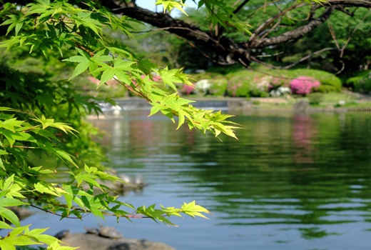 DSCF3622a