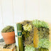 moss-filled bookend | wall art