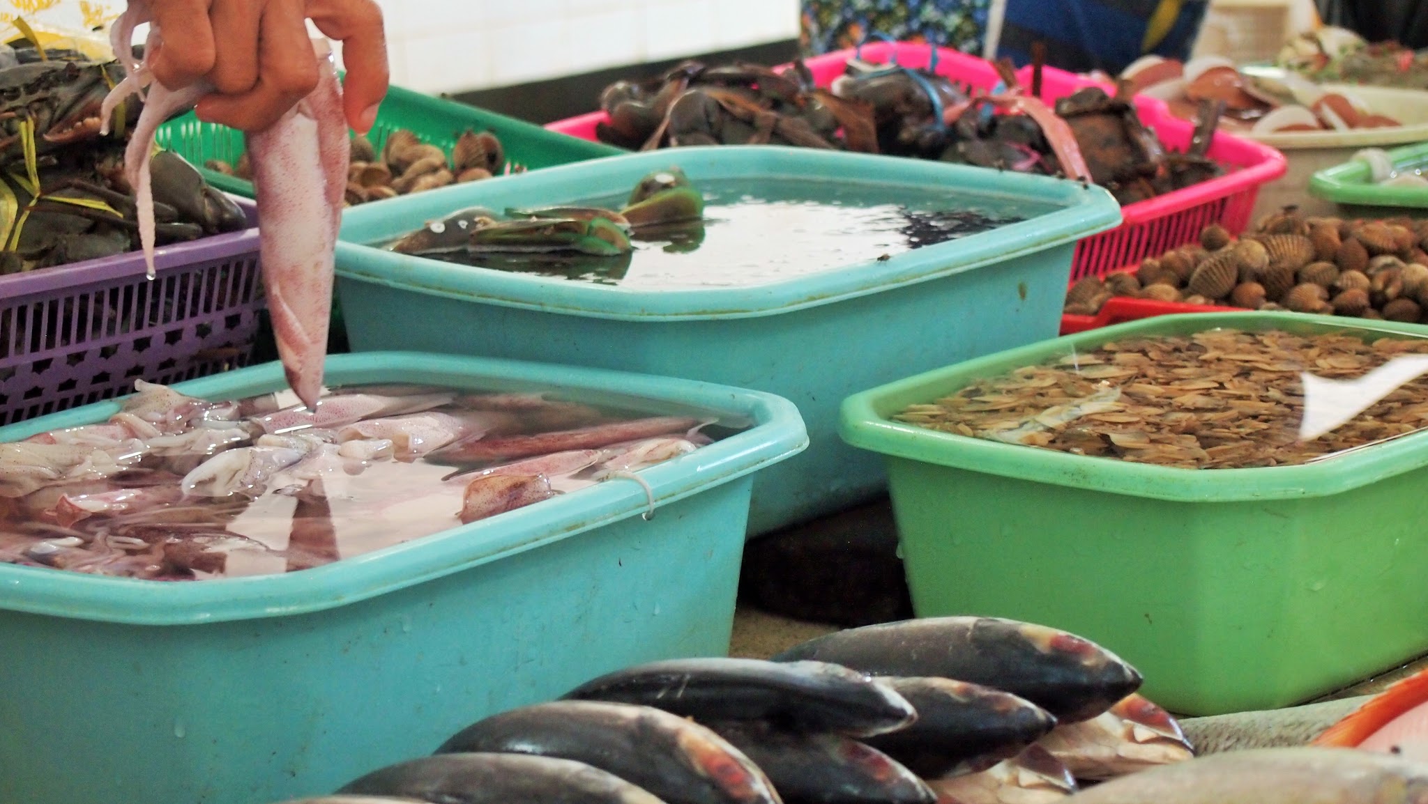 Belanja Makanan Laut di Pasar Ikan Segar Pantai Depok Parangtritis