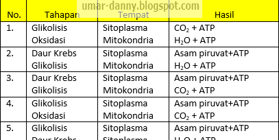 Contoh Soal PG Biologi Kelas XII Semester 1 K13 Beserta JawabanPart7