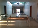IMG0673A