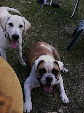 Daisy & Humphrey