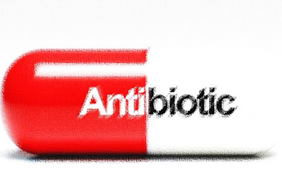 Antibiotik - Ada banyak golongan antibiotik. Antibiotik memilki fungsi untuk menekan/menghentikan perkembangan bakteri/mikroorganisme berbahaya di dalam tubuh. Manfaat antibiotik sebagai obat seringnya dijadikan sebagai infeksi luka.  Umumnya, manfaat Antibiotik difungsikan dalam berbagai bidang, contohnya bioteknologi, pertanian, dan kesehatan.  Dalam penggunaannya kepada manusia, jumlah masing-masing antibiotik sudah ditentukan oleh banyak dan lamanya penggunaan. Demikian ini dimaksudkan agar bakteri yang ingin dibunuh tidak menjadi kebal terhadap antibiotik yang diberikan. Olehnya itu saat memanfaatkan atau meminum, keseluruhan dari antibiotik patut untuk dihabiskan. Fungsinya, agar bakteri tersebut tidak kebal terhadap antibiotik.  Namun, jika hal ini tidak dilakukan maka akan membawa dampak untuk membunuh bakeri yang dapat mengakibatkan penyakit yang tidak kunjung sembuh walaupun pasien telah diberikan macam-macam obat.  Menurut WHO (2015) bahwa bakteri yang mengalami kekebalan (bakteri resisten). kondisi demikian dimana bakteri menjadi kebal terhadap antibiotik. Sehingga, antibiotik yang awalnya efektif untuk pengobatan infeksi menjadi tidak efektif lagi. Senada dengan WHO, menurut  Menteri  Kesehatan (Menkes) Endang  Rahayu Sedyaningsih, bahwa terdapat sekitar 92 persen masyarakat Indonesia tidak memanfaatkan antibiotika secara tepat. Apabila digunakan secara tepat, antibiotic memberikan  manfaat  yang tidak perlu  dipertanyakan lagi.  Namun akan tetapi, jika dipakai atau diresepkan secara tidak  tepat (irrational prescribing) dapat membawa kerugian yang luas dari segi kesehatan, ekonomi bahkan untuk generasi mendatang.  Pengertian Antibiotik: Apa itu Antibiotik?  Secara etimologi pengertian Antibiotik berasal dari bahasa latin yang terdiri dari "anti" yang berarti "lawan", sedangkan "bios" berarti "hidup". Sedangkan secara terminologi definisi antibiotik adalah zat-zat yang dihasilkan oleh mikroba terutama fungi dan bakteri tanah, yang dapat menghambat pertumbuhan/membasmi mikroba jenis lain. Sedangkan toksisitasnya atau racun terhadap manusia relatif kecil. Pengertian Antibiotik adalah obat yang digunakan untuk mengatasi infeksi bakteri. Antibiotik dapat bersifat bakterisid (membunuh bakteri) atau bakteriostatik (mencegah berkembangbiaknya bakteri). Pada kondisi immunocompromised (contohnya pada pasien neutropenia) atau infeksi di lokasi yang terlindung (contohnya pada cairan cerebrospinal), maka antibiotik bakterisid dapat digunakan. Pada dasarnya istilah antibiotik mengacu kepada zat kimia yang dihasilkan oleh satu macam organisme khususnya fungi yang menghambat pertumbuhan atau dapat membunuh organisme lain. Obat pembasmi mikroba harus mempunyai sifat toksisitas selektif yang artinya dapat bersifat sangat toksik terhadap mikroba tetapi relatif tidak toksik terhadap hospes. Pengertian Antibiotik Menurut Para Ahli Berdasarkan pengertian dan penjelasan antibiotik diatas, terdapat beberapa definisi antibiotik menurut para ahli yakni:  1. Pengertian Antibiotik Menurut Harmita dan Radji Menurut Harmita dan Radji (2008) bahwa pengertian antibiotik adalah zat biokimia yang diproduksi oleh mikroorganisme, yang dalam jumlah kecik dapat menghambat pertumbuhan atau membunuh pertumbuhan mikroorganisme lain  2. Pengertian Antibiotik Menurut Goodman Gilman  Menurut Goodman Gillman bahwa dalam arti sebenarnya, antibiotik merupakan zat anti bakteri yang diproduksi oleh berbagai spesies mikroorganisme (bakteri, jamur, dan actinomycota) yang dapat menekan pertumbuhan dan atau membunuh mikroorganisme lainnya. Penggunaan umum sering meluas kepada agen antimikroba sintetik, seperti sulfonamid dan kuinolon. 3. Pengertian Antibiotik Menurut Tjay dan Rahardja  Menurut Tjay dan Rahadrja (2007) bahwa pengertian antibiotik adalah zat-zat kimia oleh yang dihasilkan oleh fungi dan bakteri, yang memiliki khasiat mematikan atau menghambat pertumbuhan kuman, sedangkan toksisitasnya bagi manusia relatif kecil. Turunan zat-zat ini, yang dibuat secara semi-sintesis, juga termasuk kelompok ini, begitu pula senyawa sintesis dengan khasiat antibakteri. 4. Pengertian Antibiotik Menurut US National Library of Medicine Menurut US National Library of Medicine bahwa antibiotik adalah obat-obatan yang kuat yang dapat melawan pertumbuhan bakteri dan bisa menunjang kehidupan bakteri lainnya. Antibiotik diketahui juga sebagai antibakteri yaitu jenis obat yang berfungsi untuk melawan, menghancurkan, serta memperlambat pertumbuhan bakteri.   Sejarah Antibiotik: Asal Muasal Penggunaan Antibiotik Sebagai Obat Awal mula Antibiotik telah dikenal sejak dulu, dengan mempratekkan fitoterapi dengan jalan coba-coba. Bagi orang hindu, pemanfaatan antibiotik dengan mengobati lepra telah digunakan yakni memanfaatkan minyak chaulmoogra.  Sedangkan bagi orang Yunani dan Aztec (Mexico) membasmi cacing dalam usus, memanfaatkan antibiotik dengan memanfaatkan pakis pria atau filix mas dan minyak chenepodi. Lantaran orang China dan Pulai Mentawai atau dikenal Sumatera Barat sejak dahulu menggunakan jamur tertentu mengobati borok.  Perkembangan sejarah antibiotik terus melejit, menurut Tjay dan Rahardja bahwa abad ke 16 air raksa (merkuti) telah ditemukan sebagai kemoterapetikum pertama dalam mengobati sifilis. Sedangkan di China dan Vietnam sejak dua ribu tahun lalu telah memanfaatkan tanaman qinghaosu (mengandung artemisin) untuk mengobati malaria, sedangkan suku-suku Indian di Amerika Selatan memanfaatkan kulit pohon kina.  Hal demikian menjadi babak awal hingga penemuan antibiotik demikian diinisiasi oleh Paul Ehrlich yang disebut "Magic Bullet" untuk menangani infeksi mikroba. Barulah pada tahun 1910, ditemukan antibiotik pertama oleh Ehrlich yang dikenal Salvarsan untuk melawan syphilis.  Penemuan Ehrlich ini diikuti oleh Alexander Fleming yang menemukan antibiotik pada tahun 1928 berupa penisilin. Penemuan penisilin ini membuka pintu dalam penemuan anbiotik selanjutnya hingga hanya memakan 7 tahun lebih dilanjutkan dengan penemuan Gerhard Domagk yang menemukan obat anti TB yang dikenal Sulfa.  Menurut Utami (2011) bahwa pada tahun 1943, ditemukan anti TB pertama streptomycin oleh Selkman Wakzman dan Albert Schatz. Walkzman melanjutkan juga temuannya dengan memperkenalkan terminologi antibiotik. Setelah itu, berangsur-angsur kemudian antibiotik yang dikenal seperti aminogliosida, Polipeptida, rifampisin, sefalosforin, linkomisin, tetrasiklin dan makrolida.  Dilanjutkan oleh Tjay  dan Rahardja (2010) bahwa selain sulfonamida dikembangkan kemoterapeutika sintetsis misalnya senyawa nirofuron ditahun 1944, asam nalidiksat pada tahun 1962, serta turunannya flurokuinolon pada tahun 1985, obat-obatan TBC (PAS, INH) dan obat protozoa (kloroquin, progua-nil, metronidazol, dll. Dewasa ini banyak obat antimikroba baru yang telah dikembangkan yang mampu menyembuhkan hampir semua infeksi antimikroba. Antibiotik yang seperti yang kita ketahui saat ini berasal dari bakteri yang telah dilemahkan, tidak ada yang menduga bahwa bakteri yang telah dilemahkan tersebut dapat membunuh bakteri lain yang berkembang didalam tubuh makhluk hidup. Antibiotik adalah zat yang dihasilkan oleh mikroba terutama jamur, yang dapat menghambat atau membunuh pertumbuhan dari mikroba lain (Nastiti, 2011).  Namun seiring berjalannya waktu, satu demi satu bakteri mulai resisten terhadap pemberian antibiotik. Pada tahun 1950-an telah muncul jenis bakteri baru yang tidak dapat dilawan dengan penislin. Tetapi ilmuan terus menerus melakukan berbagai penelitian, sehingga antibiotik-antibiotik baru terus ditemukan.  Antara tahun 1950 sampai 1960-an jenis bakteri yang resisten masih belum menghawatirkan, karena penemuan antibiotik baru masih bisa membasminya. Namun sejak akhir 1960-an, tidak ada lagi penemuan yang bisa diandalkan. Baru pada tahun 1999 ilmuan berhasil mengembangkan antibiotik baru, tetapi sudah semakin banyak bakteri yang resisten terhadap antibiotik (Borong, 2012). Klasifikasi Antibiotik Menurut Mekanisme Kerja  Antibiotik bisa diklasifikasikan atau digolongkan berdasarkan mekanisme kerjanya, yaitu: Menghambat sintesis atau merusak dinding sel bakteri, antara lain beta-laktam (penisilin, sefalosporin, monobaktam, karbapenem, inhibitor beta-laktamase), basitrasin, dan vankomisin. Memodifikasi atau menghambat sintesis protein antara lain, aminoglikosid, kloramfenikol, tetrasiklin, makrolida (eritromisin, azitromisin, klaritromisin), klindamisin, mupirosin, dan spektinomisin. Menghambat enzim-enzim esensial dalam metabolisme folat antara lain, trimetoprim dan sulfonamid. Mempengaruhi sintesis atau metabolisme asam nukleat antara lain, kuinolon, nitrofurantoin (Kemenkes, 2011). Penggolongan Antibiotik Berdasarkan Struktur Kimia Antibiotik Menurut Tjay dan Rahardja (2007) yang menggolongkan atau mengklasifikasikan antibiotik menurut struktur kimia antibiotik yakni:  a. Golongan Beta-Laktam. Golongan antibiotik jenis ini terdiri dari golongan sefalosporin (sefaleksin, sefazolin, sefuroksim, sefadroksil, seftazidim), golongan monosiklik, dan golongan penisilin (penisilin, amoksisilin). Penisilin adalah suatu agen antibakterial alami yang dihasilkan dari jamur jenis Penicillium chrysognum. b. Antibiotik Golongan Aminoglikosida. Golongan jenis Aminoglikosida sebagai antibiotik dihasilkan oleh macam-macam fungi Streptomyces dan Micromonospora. Umumnya senyawa dan turunan semi-sintesisnya memiliki kandungan 2 atau 3 gula-amino di dalam molekulnya, yang saling terikat secara glukosidis.  Golongan ini memiliki spektrum kerjanya luas dan terdiri khususnya banyak bacilli gram-negatif. Obat ini juga aktif terhadap gonococci dan sejumlah kuman gram-positif. Aktifitasnya adalah bakterisid, berdasarkan dayanya untuk menembus dinding bakteri dan mengikat diri pada ribosom di dalam sel. Contohnya streptomisin, gentamisin, amikasin, neomisin, dan paranomisin. c. Antibiotik Golongan Tetrasiklin. Khasiatnya memiliki sifat bakteriostatis, hanya dengan melalui injeksi intravena yang dapat dicapai kadar plasma yang bakterisid lemah. Mekanisme kerjanya didasarkan diganggunya sintesa protein kuman.  Spektrum antibakterinya luas dan terdiri dari banyak cocci gram positif dan gram negatif serta kebanyakan bacilli. Tidak efektif Pseudomonas dan Proteus, tetapi aktif terhadap mikroba khusus Chlamydia trachomatis (penyebab penyakit mata trachoma dan penyakit kelamin), dan beberapa protozoa (amuba) lainnya. Contohnya tetrasiklin, doksisiklin, dan monosiklin. d. Antibiotik Golongan Makrolida. bekerja bakteriostatis terhadap terutama bakteri gram-positif dan spectrum kerjanya mirip Penisilin-G. Mekanisme kerjanya melalui pengikatan reversibel pada ribosom kuman, sehingga sintesa proteinnya dirintangi. Jika digunakan terlalu lama atau sering dapat menyebabkan resistensi. Absorbinya tidak teratur, agak sering menimbulkan efek samping lambung-usus, dan waktu paruhnya singkat, maka perlu ditakarkan sampai 4x sehari. Faktor-Faktor yang Mempengaruhi Penggunaan Antibiotik Penggunaan antibiotic mempunyai faktor-faktor yang menjadi pertimbangkan. Demikian faktor inilah yang menentukan penggunaan obat oleh pembuat resep dapat dipengaruhi oleh hal-hal sebagai berikut:  1. Tingkat Pengetahuan Tentang Penggunaan Antibiotik Apabila memiliki pengetahuan terhadap penggunaan antibiotic yang rendah maka dapat berakibat meningkatknya potensi salah diagnosis. Bukan cuma itu mengalami kesulitan dalam membedakan apakah infeksi bakterial atau virus.  2. Ketersedian Sarana Diagnostic Faktor selanjutnya adalah dengan menggunakan sarana diagnostik sebagai alat penunjang dapat berguna dan berfungsi dalam meningkatkan ketepatan diagnosis. 3. Promosi Obat Promosi obat dapat memengaruhi penggunaan antibiotik karena sering pihak farmasi memberikan insentif terhadap penggunaan antibiotik tertentu sehingga mempengaruhi dalam pemilihan antibiotik itu sendiri. 4. Faktor Permintaan Pasien Faktor selanjutnya dalam menggunakan antibiotik bilamana Pasien dapat memengaruhi dalam penggunaan antibiotik. Namun, tidak sebesar dalam pembuat resep. 5. Ketersediaan Obat Keterbatasan sediaan obat dapat mempengaruhi penggunaan antibiotik yang seharusnya diberikan dokter kepada pasien yang mungkin kurang tepat atau lebih toksik jika dibandingkan obat pilihan pertama. Namun, ketersediaan yang berlimpah justru akan meningkatkan biaya pengeluaran dan kurang bermanfaat. 6. Tingkat dan Frekuensi Supefisi Pengawasan oleh atasan dapat meningkatkan rasionalitas penggunaan antibiotik atau sebaliknya, dapat terjadi pemberian antibiotik yang kurang atau berlebihan akibat kekhawatiran pembuat resep. Penggolongan Antibiotik Berdasarkan Aktivitasnya Menurut Kee (1996) bahwa terdapat dua kategori antibiotik berdasarkan aktivitasnya antara lain:  Antibiotika spektrum luas (broad spectrum). Kategori antibiotik ini contohnya tetrasiklin dan sefalosporin efektif terhadap organism baik gram positif maupun gram negatif. Antibiotik berspektrum luas umumnya digunakan untuk mengobati penyakit infeksi yang menyerang belum diidentifikasi dengan pembiakan dan sensitifitas. Antibiotika spektrum sempit (narrow spectrum). Golongan ini memiliki efektifitas yang berfungsi untuk melawan satu jenis organisme. Contohnya golongan antibiotik ini adalah penisilin dan eritromisin dipakai untuk tujuan dan fungsi dalam mengobati infeksi yang disebabkan oleh bakteri gram positif. Hal demikian terjadi sebabkan antibiotik berspektrum sempit memiliki sifat selektif, sehingga obat-obat ini lebih aktif dalam melawan organisme tunggal tersebut daripada antibiotik berspektrum luas. Penggelongan Antibiotik Berdasarkan Daya Hambat  Menurut daya hambat antibiotik, terdiri atas 2 pola hambat antibiotik terhadap kuman antara lain:  Time Dependent Killing. Pada pola ini antibiotik akan menghasilkan daya bunuh maksimal jika kadarnya dipertahankan cukup lama di atas Kadar Hambat Minimal kuman. Contohnya pada antibiotik penisilin, sefalosporin, linezoid, dan eritromisin. Concentration Dependent Killing. Pada pola ini antibiotik akan menghasilkan daya bunuh maksimal jika kadarnya relatif tinggi atau dalam dosis besar, tapi tidak perlu mempertahankan kadar tinggi ini dalam waktu lama. Contohnya pada antibiotik aminoglikosida, fluorokuinolon, dan ketolide. Efek Samping Pengguna Antibiotik  Selain bermanfaat dalam mencegah dan menghambat bakteri atau mikroorganisme, penggunaan antibiotik juga memiliki efek samping. Hal itu terjadi ketika antibiotik tanpa resep dokter atau dengan dosis yang tidak tepat dapat menggagalkan pengobatan dan menimbulkan bahaya-bahaya lain diantaranya:  1. Sensitasi/Hipersensitif Banyak obat setelah digunakan secara lokal dapat mengakibatkan kepekaan yang berlebihan, kalau obat yang sama kemudian diberikan secara oral atau suntikan maka ada kemungkinan terjadi reaksi hipersensitif atau alergi seperti gatal pada kulit kemerah-merahan, bentol, atau yang lebih hebat si penderita bisa syok, contoh antibiotiknya Penicillin dan Kloramfenikol. Guna mencegah bahaya ini sebaiknya salep-salep yang menggunakan antibiotic tidak diberikan secara Sistemis (oral dan suntikan). 2. Resistensi Adalah jika obat yang pernah digunakan akan tetapi efek yang diinginkan sudah tidak mempan lagi bagi si penyakit (sudah kebal) atau si penyakit telah menjadi kuat. Penyebabnya adalah karena kita meminum obat tidak sampai habis terutama antibiotik, harus dihabiskan.  Kalau tidak atau kita meminumnya hanya besok iya besoknya lagi tidak, maka si bakteri yang ada didalam tubuh kita akan kebal jadinya terhadap antibiotik yang kita minum. Bila tidak ingin terjadi resistensi dalam tubuh anda, sebaiknya untuk obat antibiotik dihabiskan dan bila sudah terlanjur terjadi resistensi silahkan ke dokter untuk meminta dosis antibiotik anda dinaikkan, kalau tidak makan tidak akan sembuh benar. Ilustrasi: Pengertian Antibiotik, Fungsi, Golongan & Antibiotik Menurut Para Ahli Demikian informasi mengenai Pengertian Antibiotik, Fungsi, Golongan & Antibiotik Menurut Para Ahli. Semoga informasi ini dapat bermanfaat bagi kita semua khususnya dalam mengenai sejumlah macam-macam antbiotik saat ini sebagai pengobatan melawan bakteri atau mikrooganisme. Sekian dan terima kasih. Salam Berbagi Teman-Teman. 