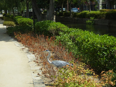 西川緑道公園（岡山市北区）