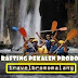 Songa Rafting Pekalen Probolinggo, Surganya Para Rafter