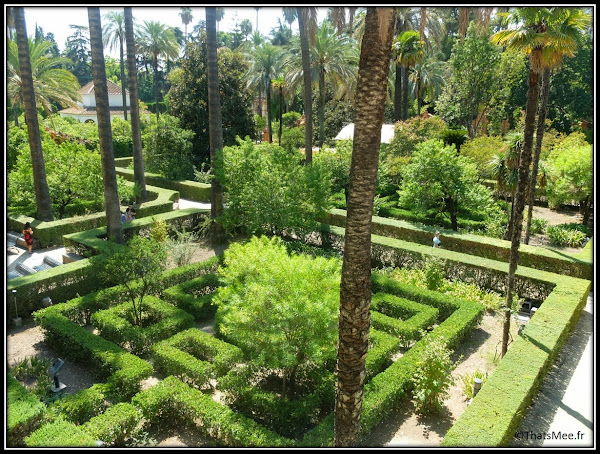 Séville Real Alcazar jardin labyrinthe Palais