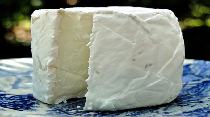 حقائق وفوائد الغذائية وصحية  للجبن