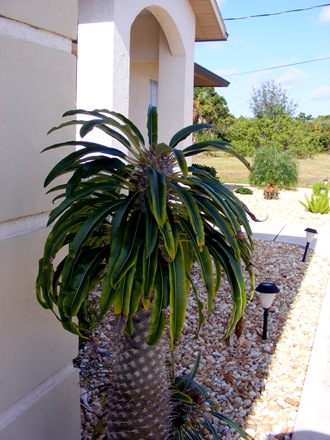 december 2009 052