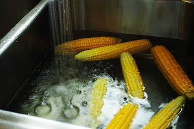 corn-1