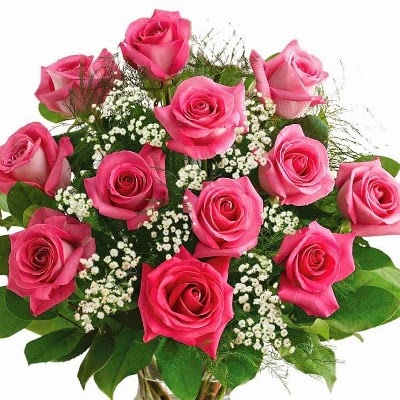 http://www.flowersdelivery4u.co.uk/design-170/12-pink-roses.htm