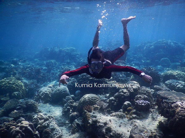 snorkeling di karimun jawa