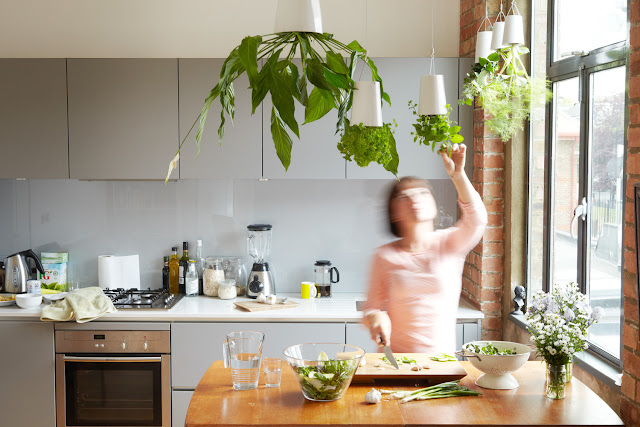 Plantas invertidas para ambientes internos