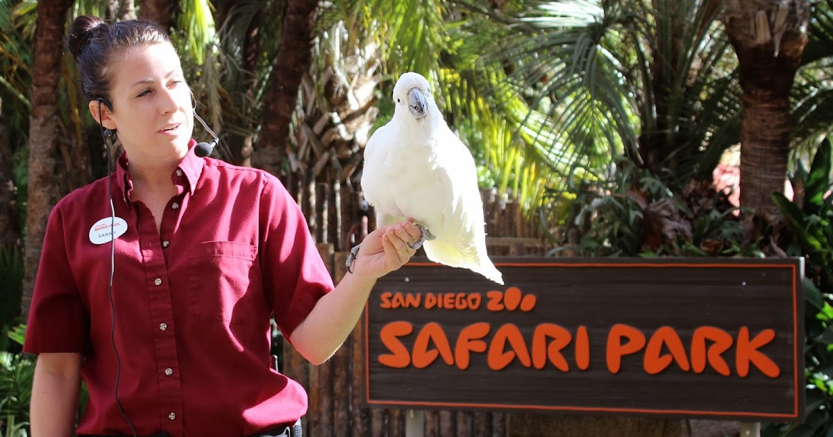 Visiting San Diego Zoo Safari Park