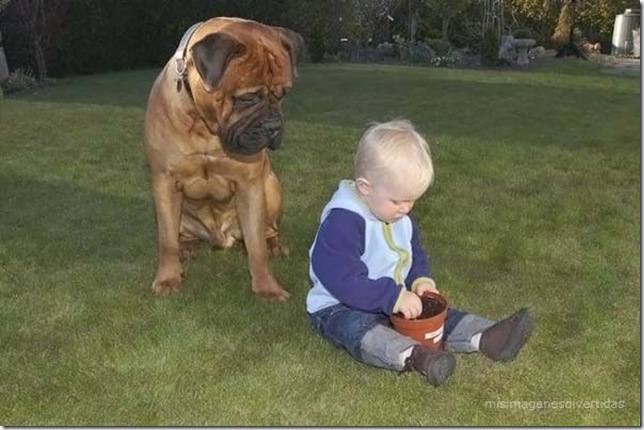 1 - niños con perros misimagenesdivertidas  (29)