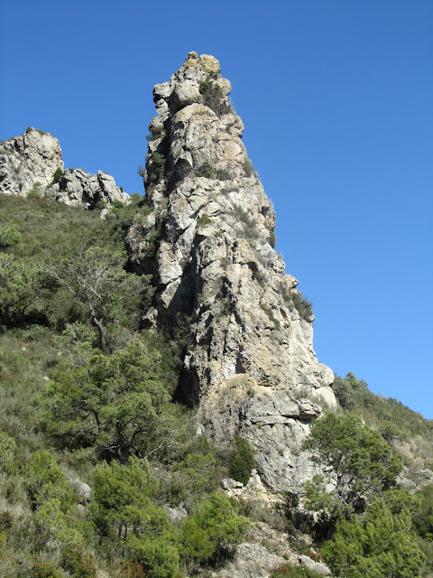 SERRA DEL MONTMELL (II) -