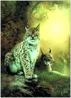 	HAED artwork by Bente Schlick	"	BES-25790 Two Lynxes + PM	