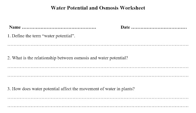 Water Potential and Osmosis Worksheet | PDF Download