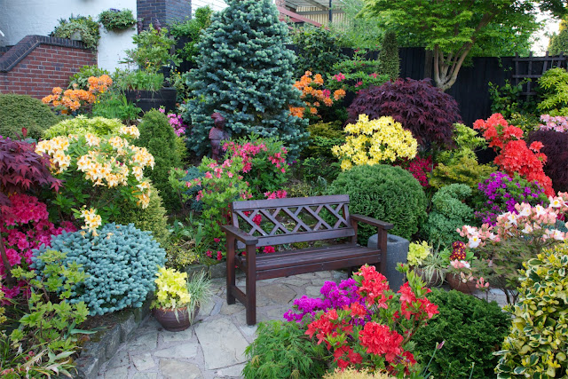   Seat amongst the azalea flowers