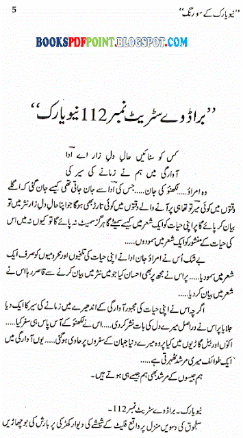 New-York-Ke-100-Rang-urdu-PDF-Book-content-page-sample