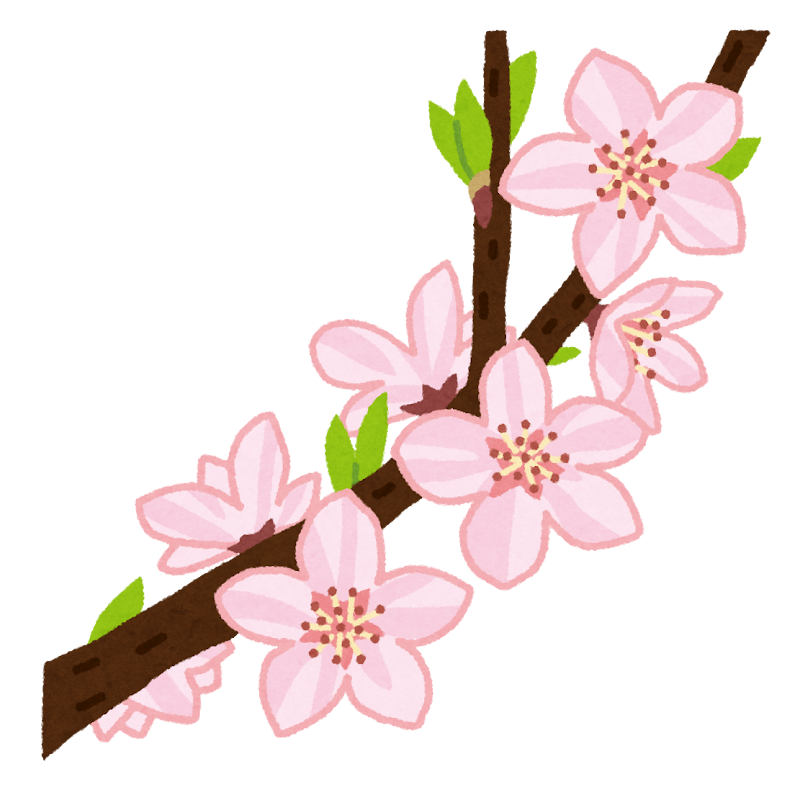 桃の開花のイラスト かわいいフリー素材集 いらすとや