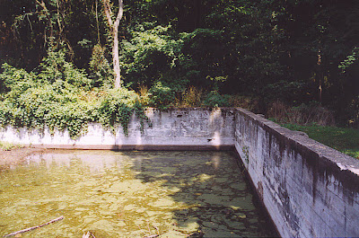 The Swimming Pool Today, Union Park, Dubuque, IA