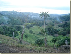 DSC02759