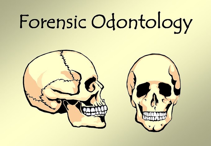 DENTAL NEWS; Lecture On Forensic Odontology – A Paradigm Unexplored