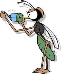 mosquito1